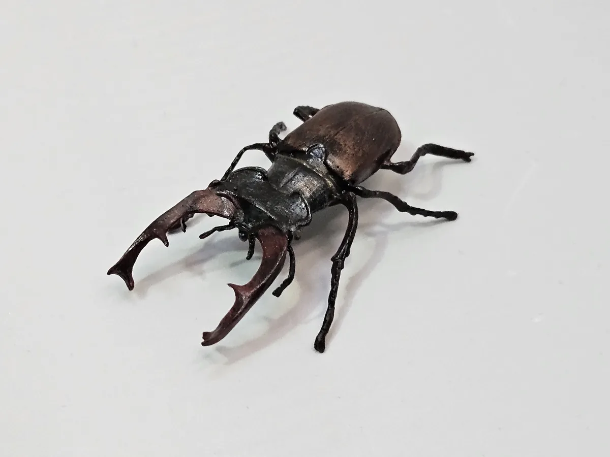 Stag Beetle