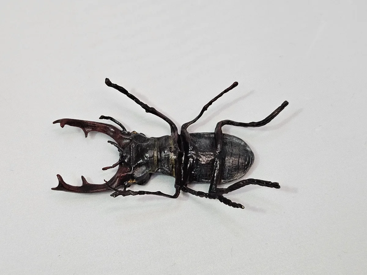 Stag Beetle