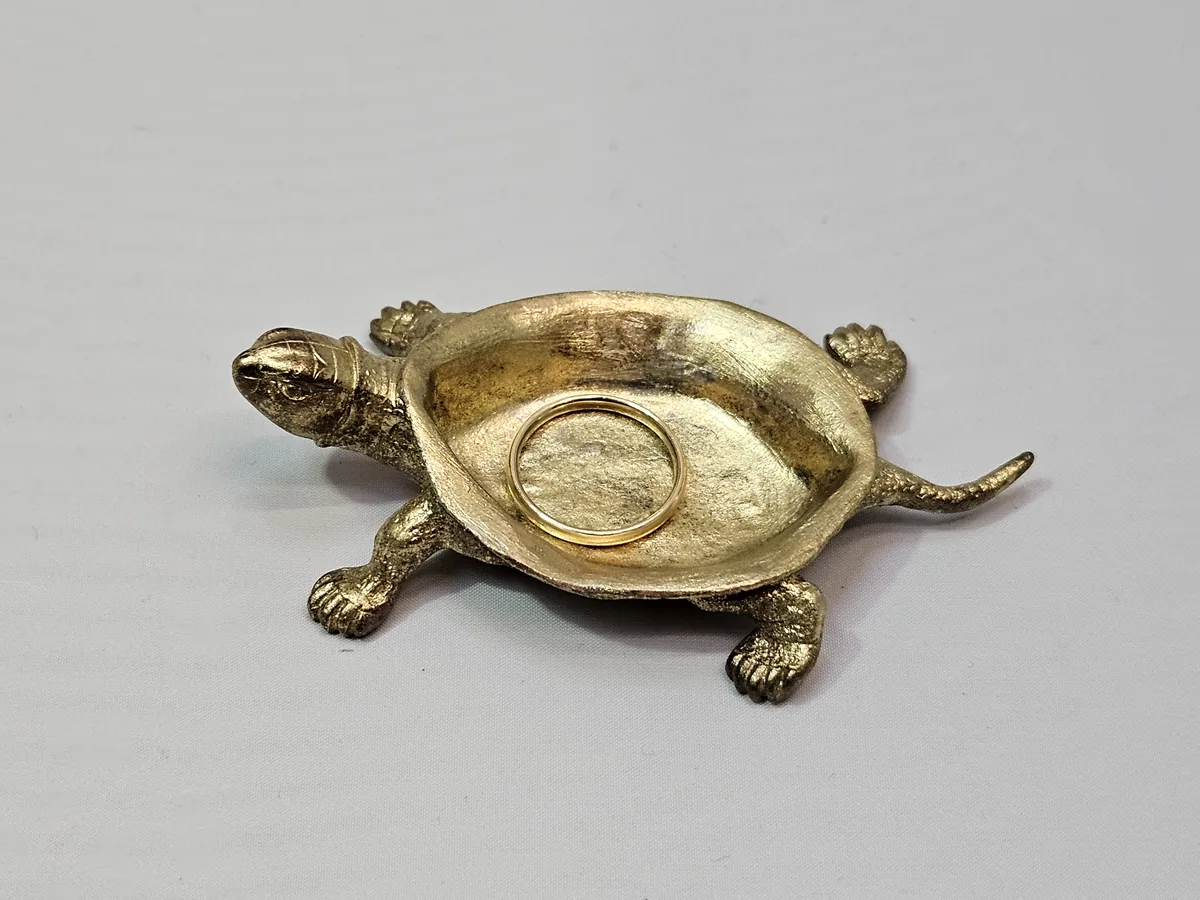 Turtle Bowl