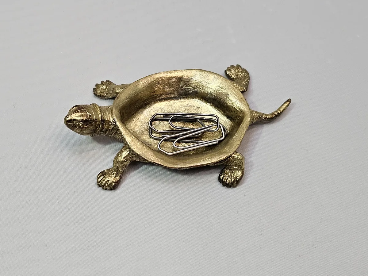 Turtle Bowl
