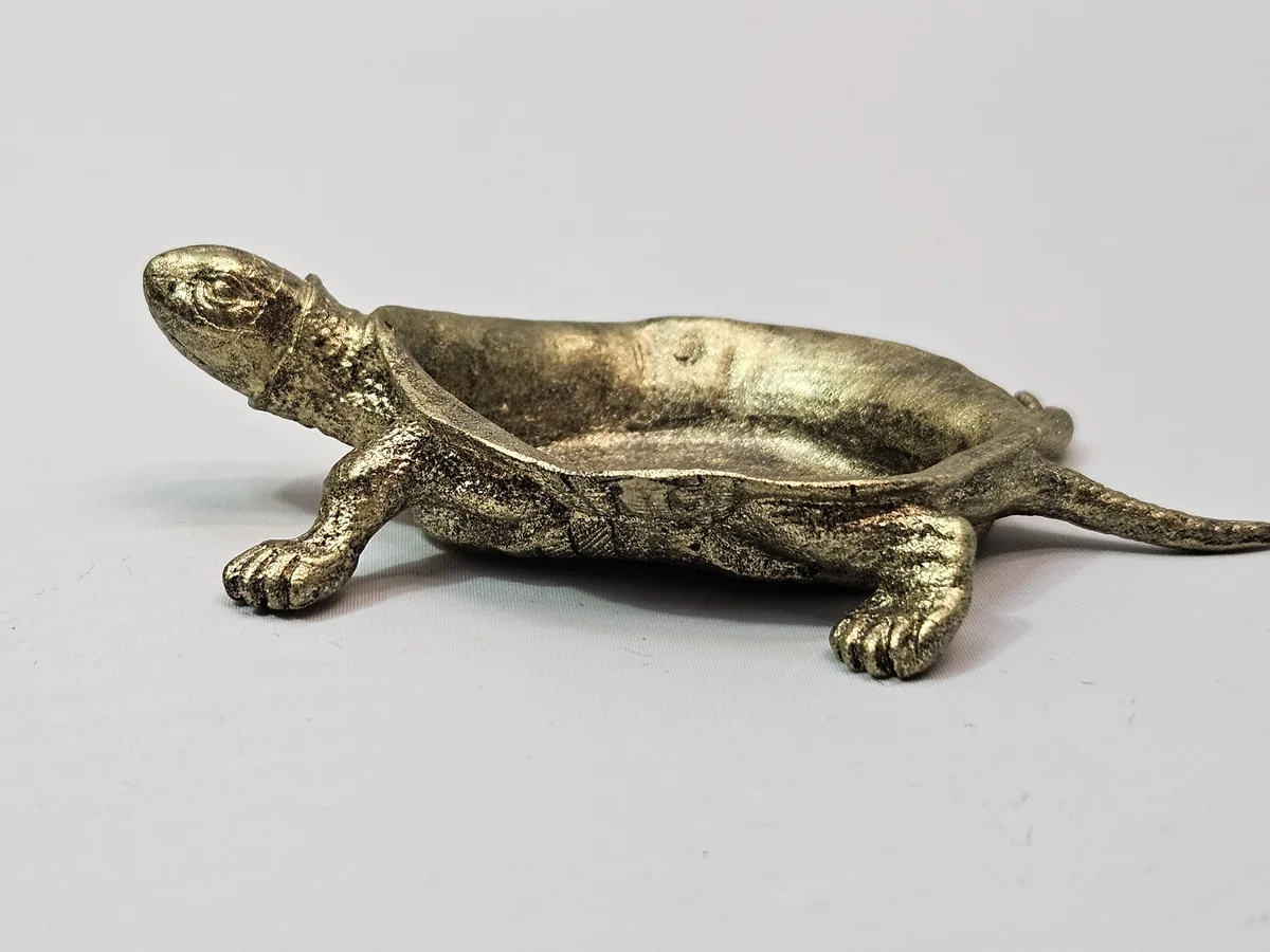 Turtle Bowl