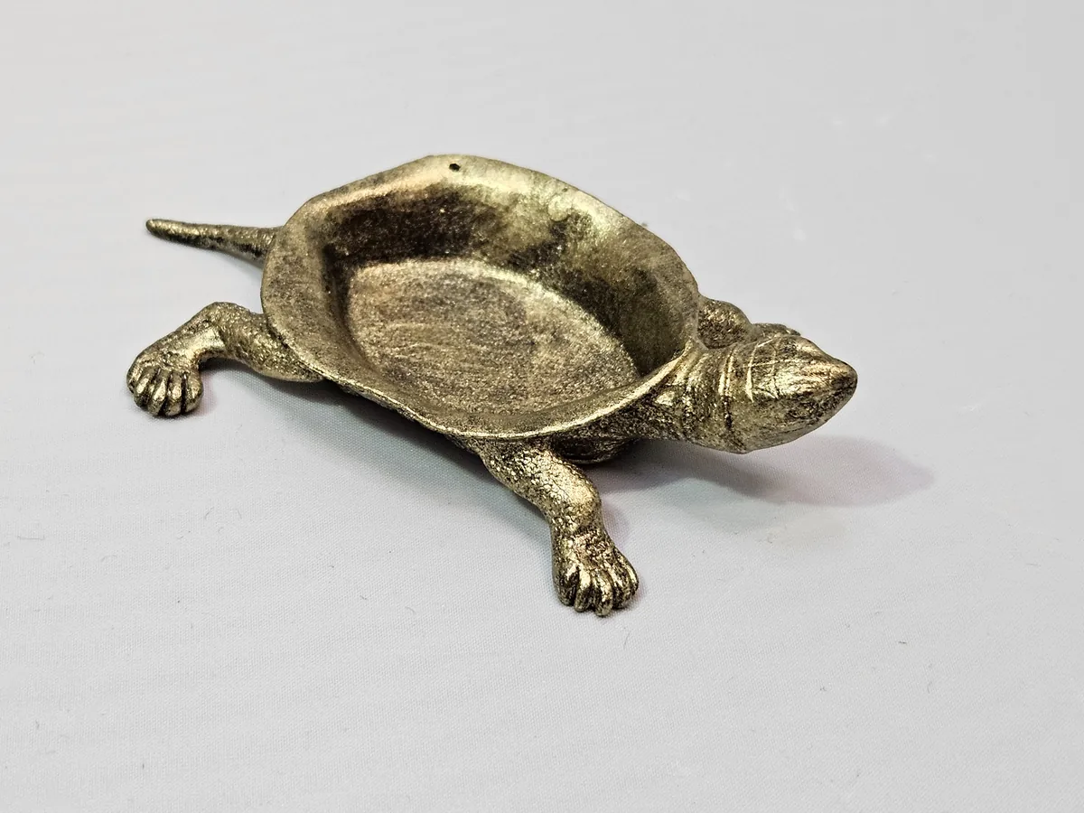 Turtle Bowl