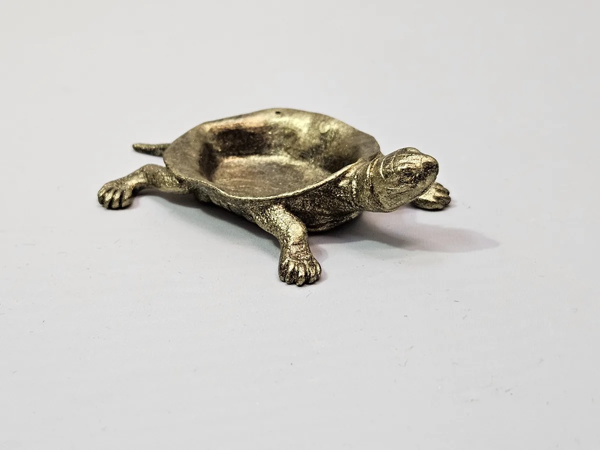 Turtle Bowl