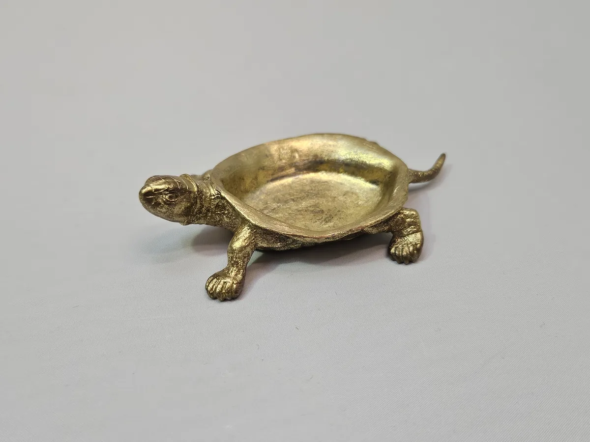Turtle Bowl