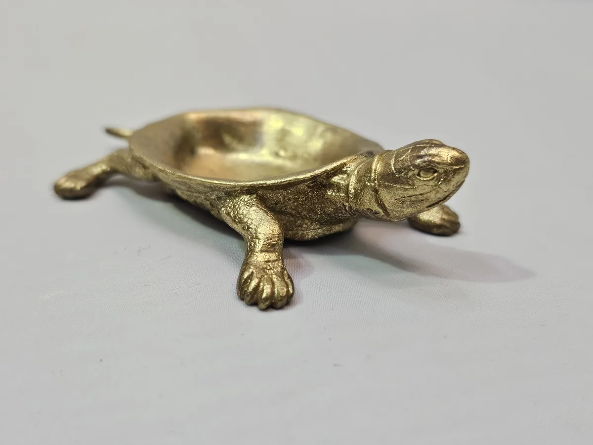 Turtle Bowl
