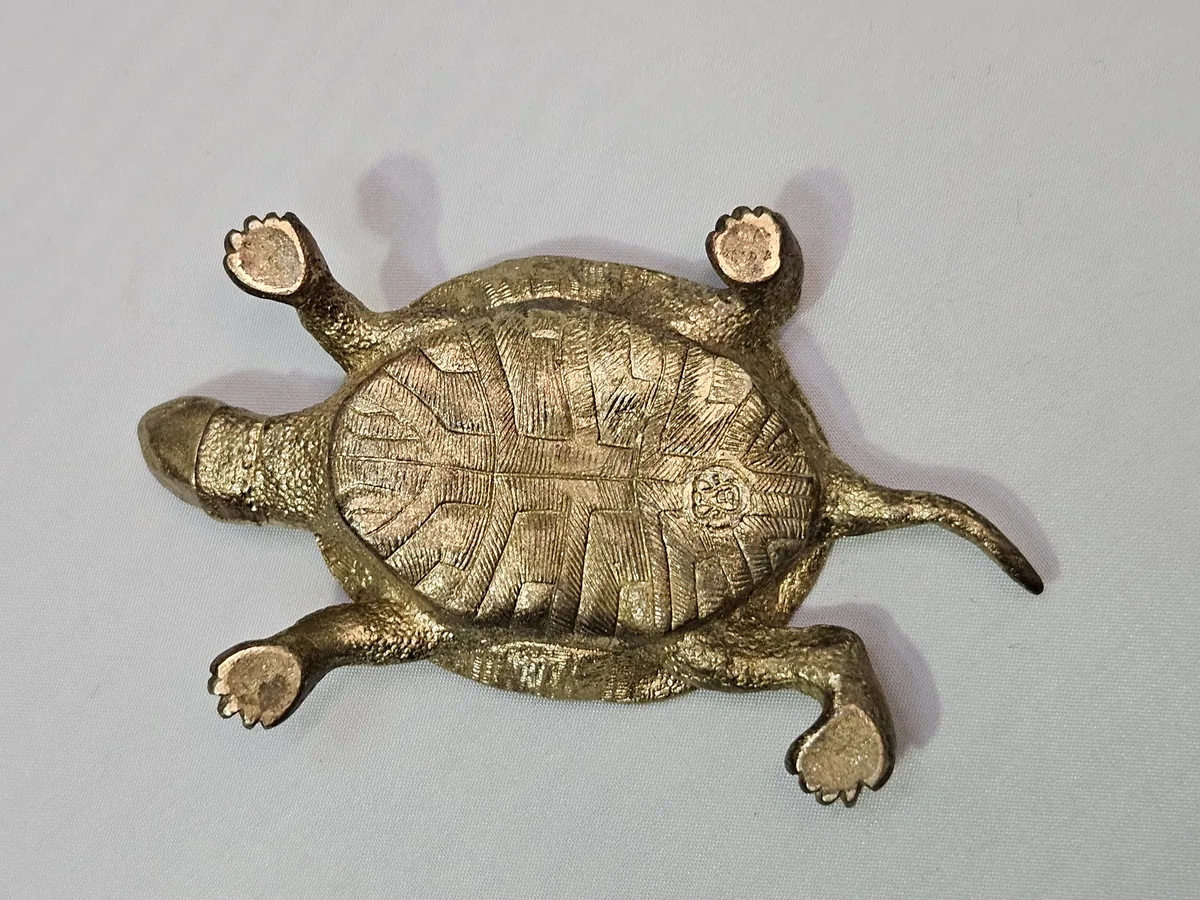 Turtle Bowl
