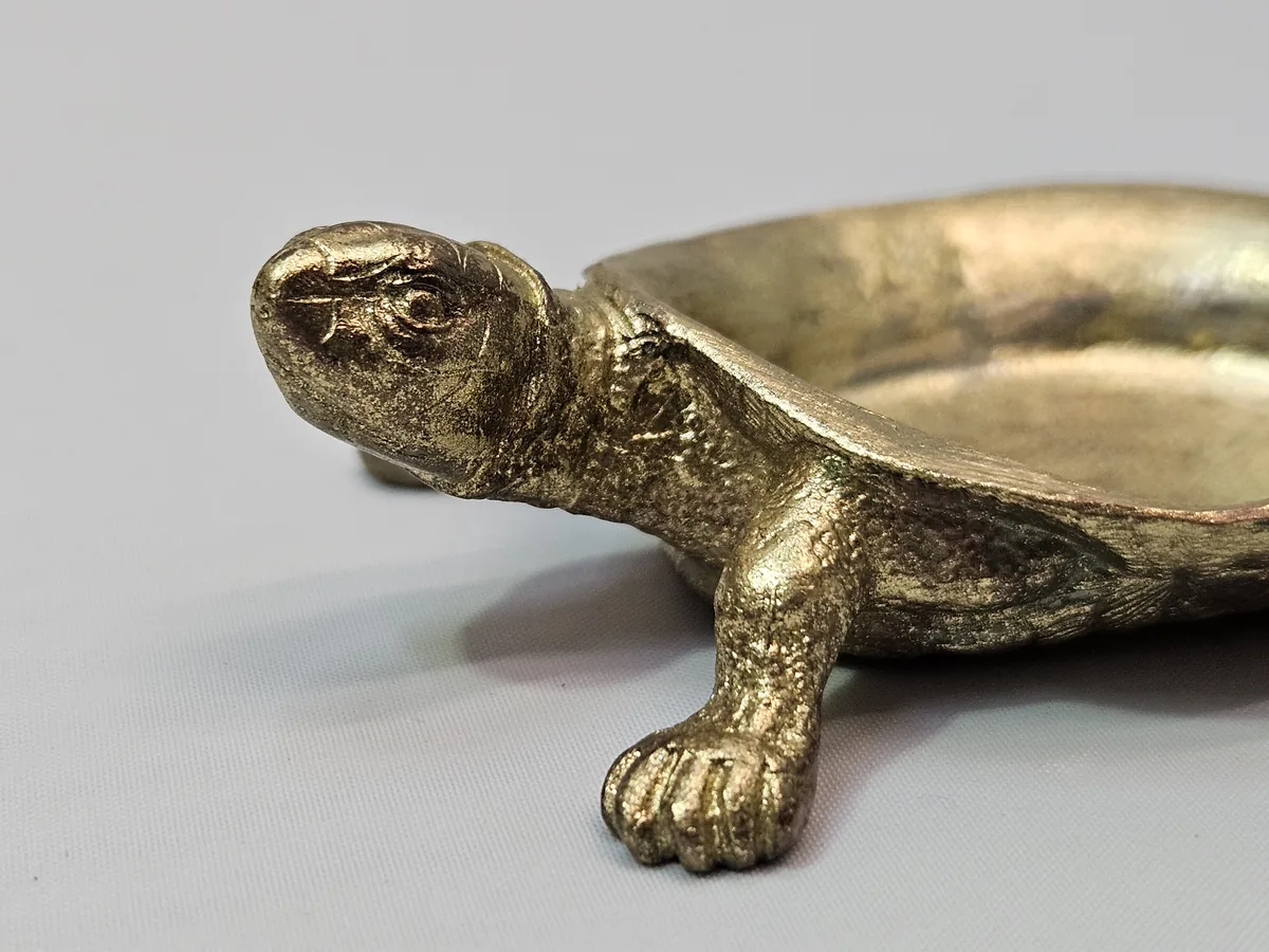 Turtle Bowl