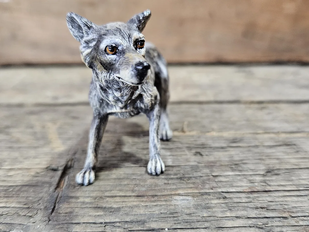 Wolf